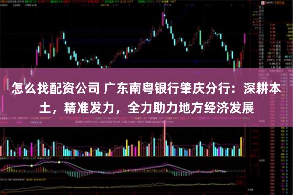 怎么找配资公司 广东南粤银行肇庆分行：深耕本土，精准发力，全力助力地方经济发展