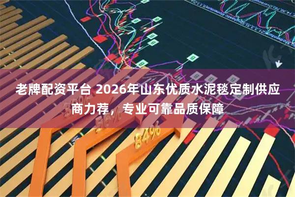 老牌配资平台 2026年山东优质水泥毯定制供应商力荐，专业可靠品质保障