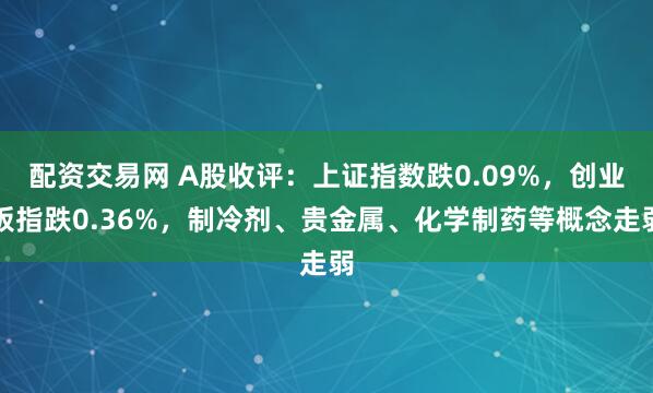 配资交易网 A股收评：上证指数跌0.09%，创业板指跌0.36%，制冷剂、贵金属、化学制药等概念走弱