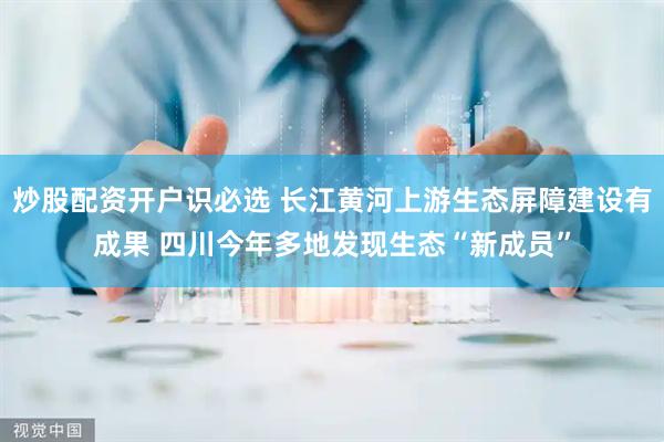 炒股配资开户识必选 长江黄河上游生态屏障建设有成果 四川今年多地发现生态“新成员”